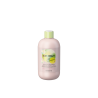 CHAMPU CLEANY ANTICASPA 300ML INEBRYA