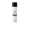 THERMO SPRAY STYLE-IN 250 ML INEBRYA