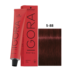 IGORA ROYAL 5-88