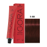 IGORA ROYAL 5-88