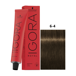 IGORA ROYAL 6-4