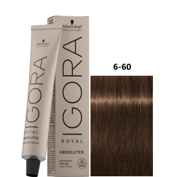 IGORA ROYAL ABSOLUTE 6-60