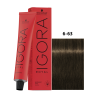 IGORA ROYAL 6-63