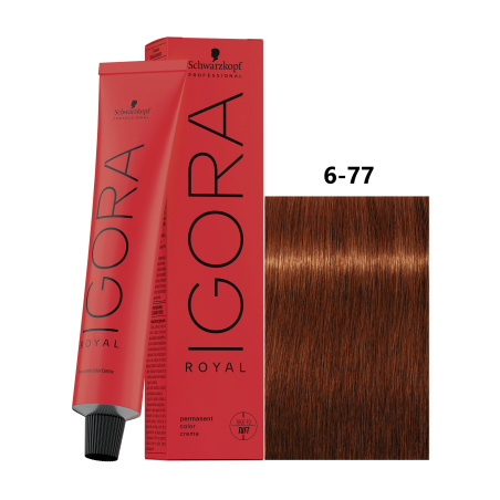 IGORA ROYAL 6-77