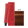 IGORA ROYAL 6-77