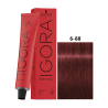 IGORA ROYAL 6-88