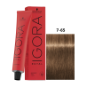 IGORA ROYAL 7-65
