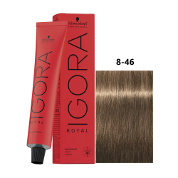 IGORA ROYAL 8-46
