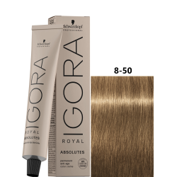 IGORA ROYAL ABSOLUTE 8-50