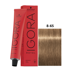 IGORA ROYAL 8-65