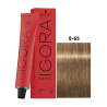 IGORA ROYAL 8-65