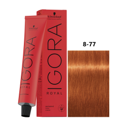 IGORA ROYAL 8-77