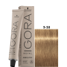 IGORA ROYAL ABSOLUTE 9-50