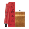 IGORA ROYAL 9-7