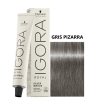 IGORA SW GRIS PIZARRA 60 ML