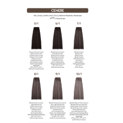 INEBRYA 10/1, Rubio platino ceniza, 100ml,