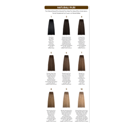 INEBRYA 4/ CASTAÑO PURO