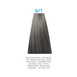 INEBRYA BIONIC 6/1, Rubio oscuro ceniza, 100ml