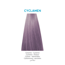 INEBRYA BIONIC TONALIZADOR VIOLETA