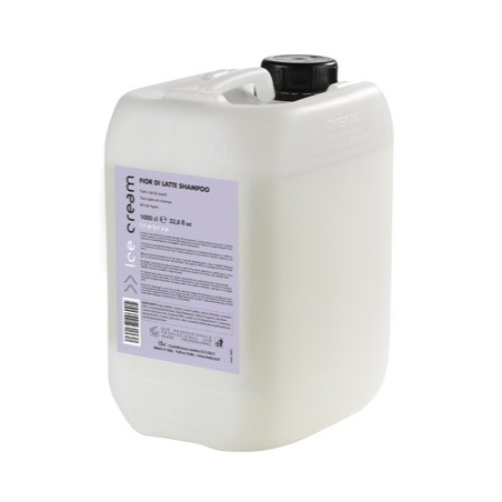 CHAMPU DRY-T GARRAFA 10 LITROS INEBRYA