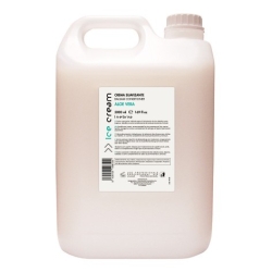 ACOND. COCO ALOE VERA 5 LT.INEBRYA