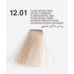GLOSSCO 12.01PLATINO NATURAL CENIZA