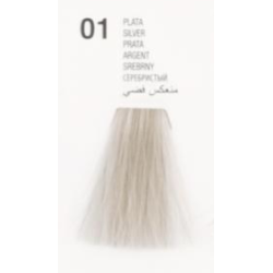 GLOSSCO 1 MATIZADOR PLATA